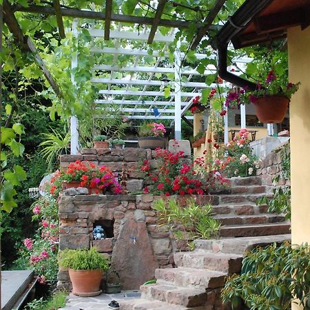 Am Berggarten Гайдельберг Екстер'єр фото